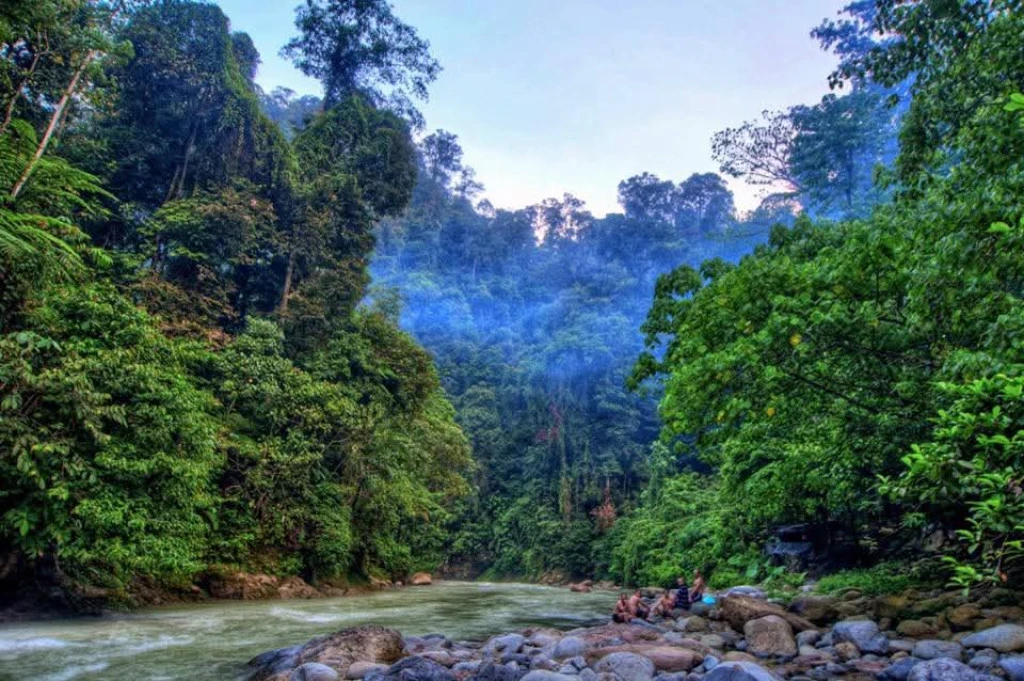 Gunung Leuser National Park