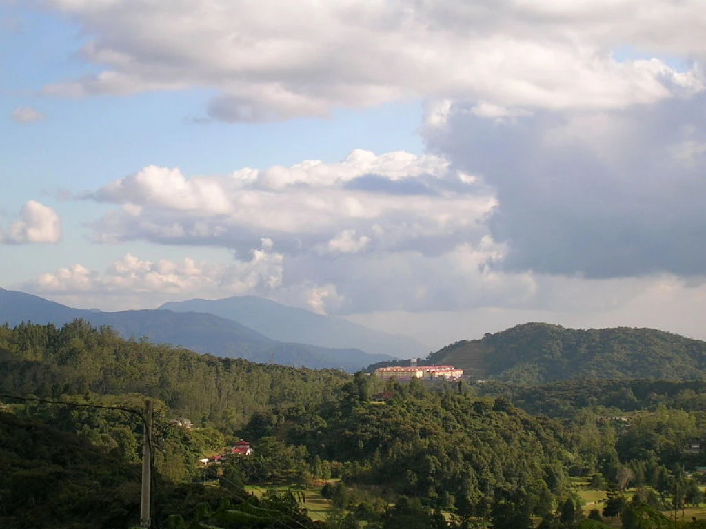Cameron Highland